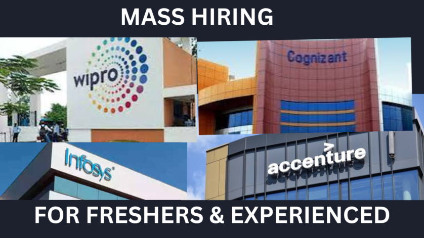 fresher hiring 2024